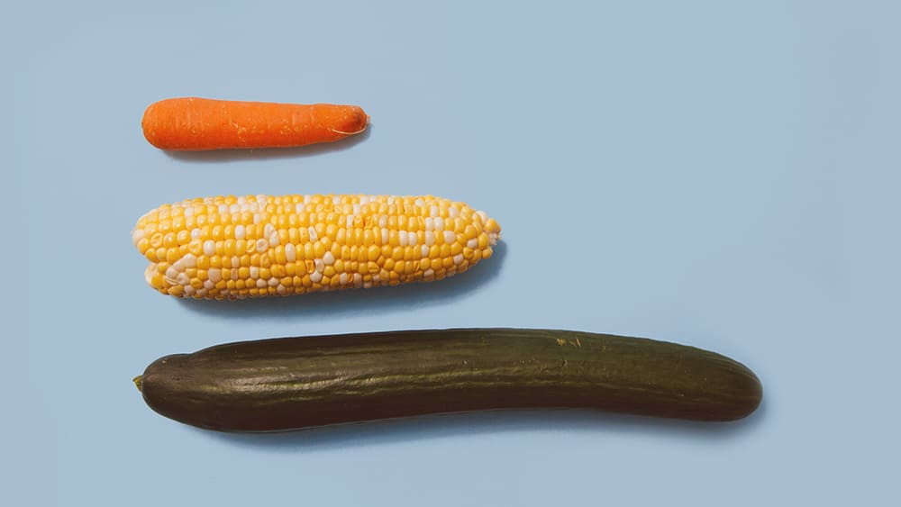 legumes representando se tamanho é documento